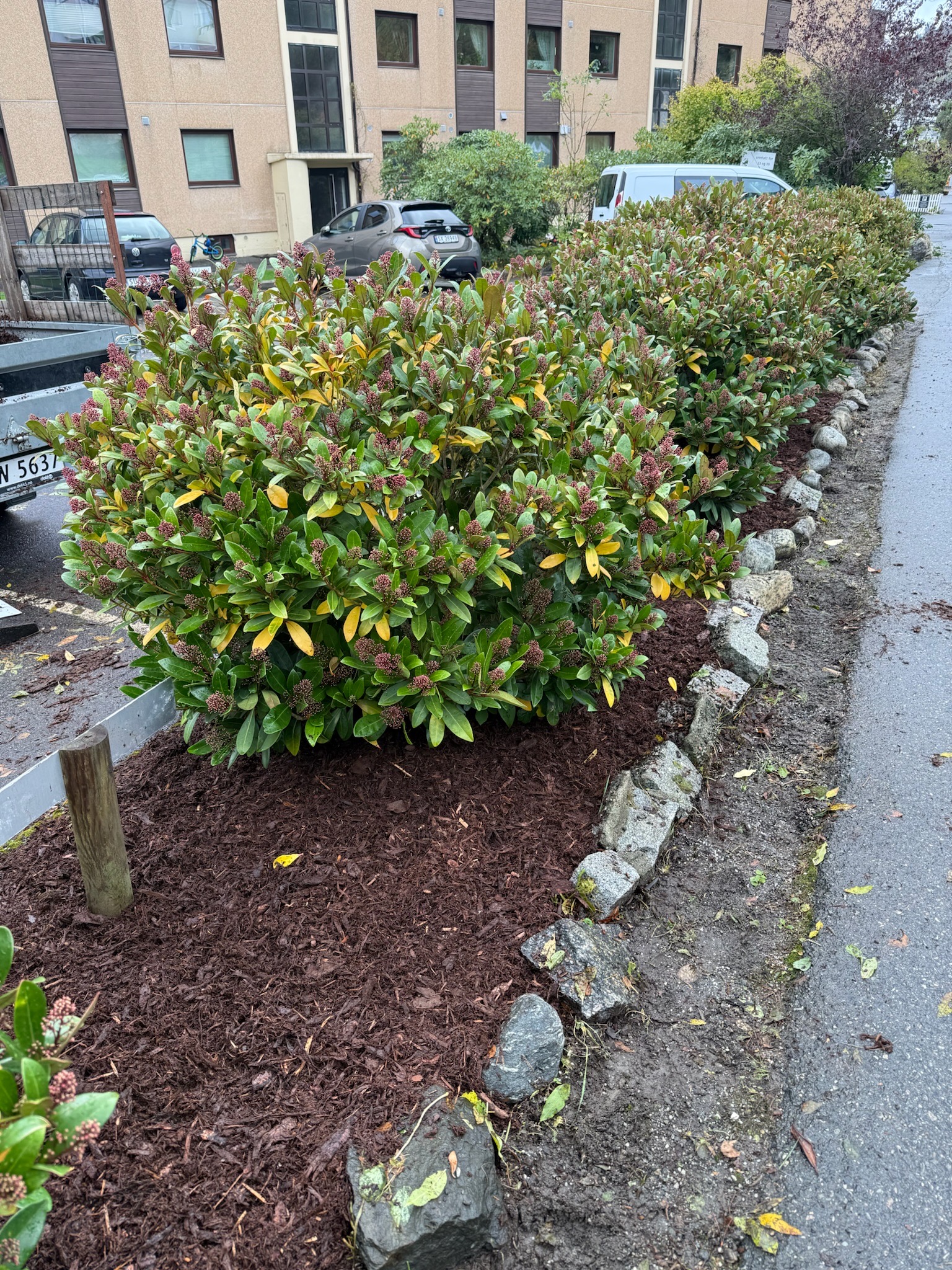 Grøntområde i Bergen