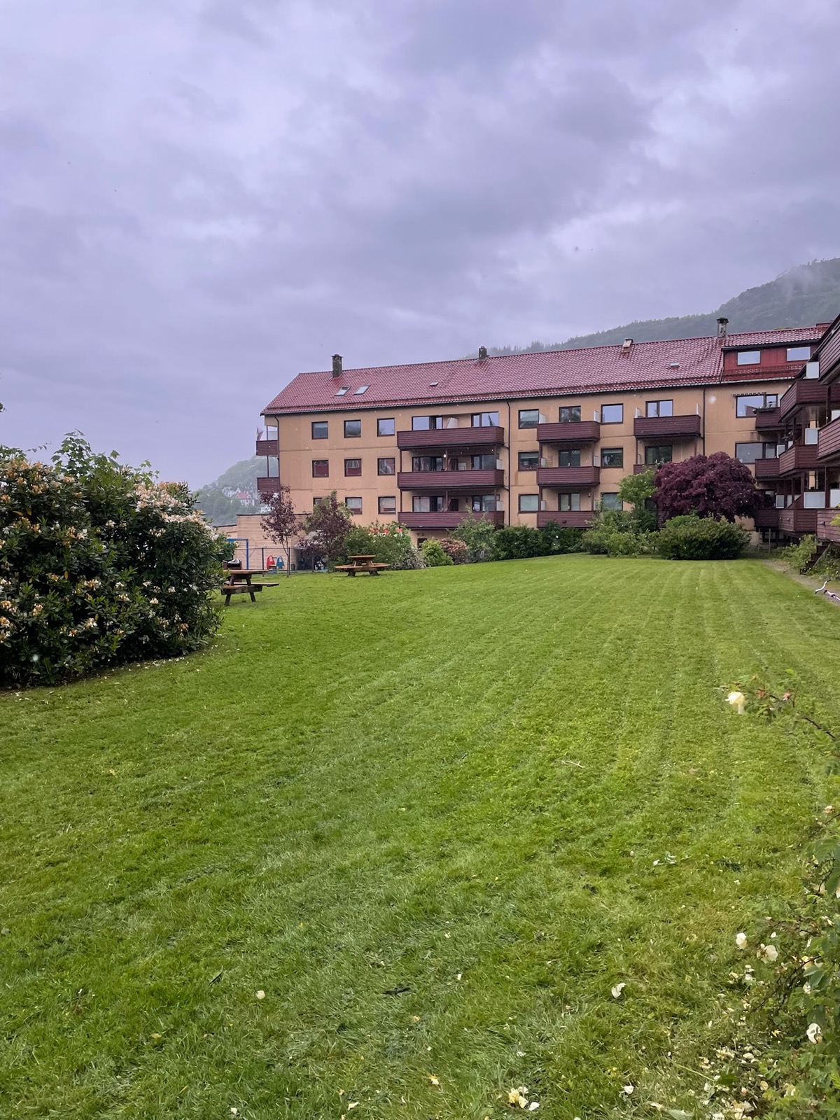 Ferdig klippet plen ved leilighetsbygg